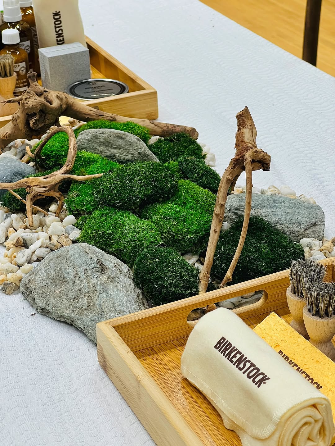 Moss dish garden with stones and driftwood